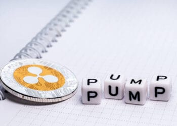 Skilled Says If You Maintain XRP, Pay Consideration To These Issues