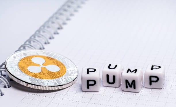 Skilled Says If You Maintain XRP, Pay Consideration To These Issues