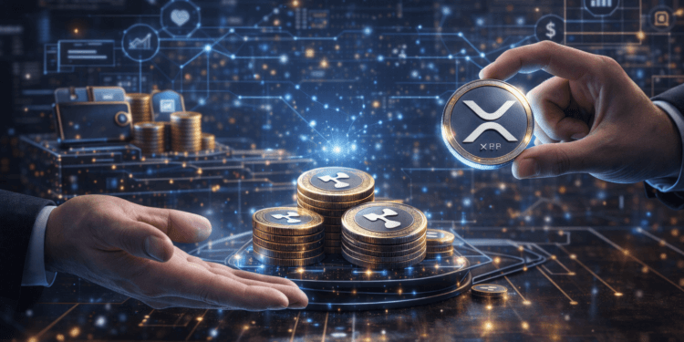 Ripple Expands XRPL Technique With New Funding & Accelerator