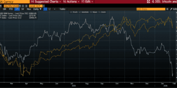 Bitcoin Value Crash – Is it All Donald Trump’s Fault?