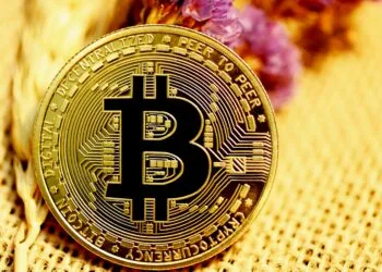 Bitcoin Sharpe Ratio Sinks To Historic Lows — Accumulation Subsequent?