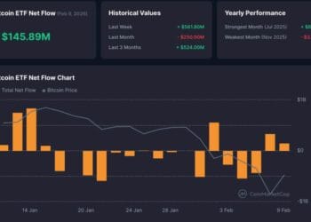 Bitcoin ETFs See $145M Inflows, Why Establishments Are Shopping for the Dip