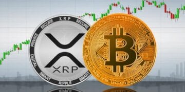 How A lot Would You Have If You Put $500 In Bitcoin In 2014 Vs. XRP?