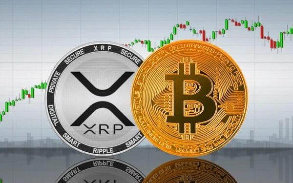 How A lot Would You Have If You Put $500 In Bitcoin In 2014 Vs. XRP?