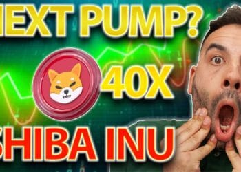 How Excessive Can $SHIB Go In The Subsequent Crypto Rally?