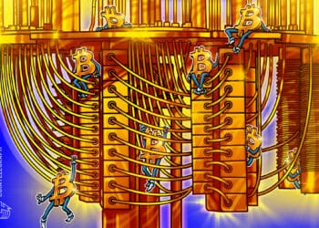 65% of Bitcoin Provide Not Susceptible to Quantum Risk: Ark Make investments