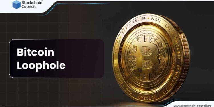 Bitcoin Loophole | Blockchain Council