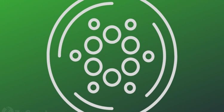 Cardano Leads Giant-Cap Beneficial properties, Outpacing Bitcoin And XRP, However Can It Maintain Up? ⋆ ZyCrypto