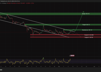 Dogecoin Worth Evaluation: X Cash Nears Launch With out DOGE