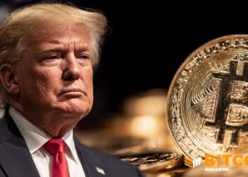 Senate Dems Push DOJ, Treasury To Probe Binance