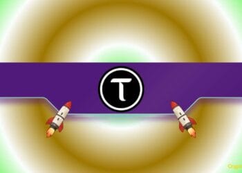 What Induced the Rally and What Comes Subsequent?