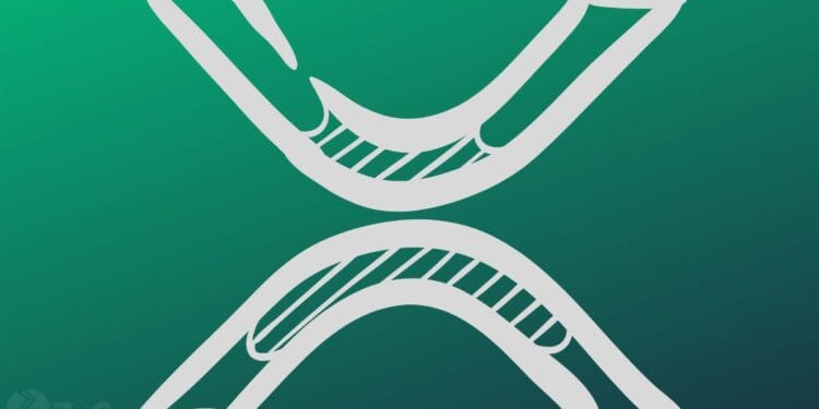 Ripple’s XRP Explosion within the Playing cards as Pundits Reveal Attention-grabbing Prospects ⋆ ZyCrypto