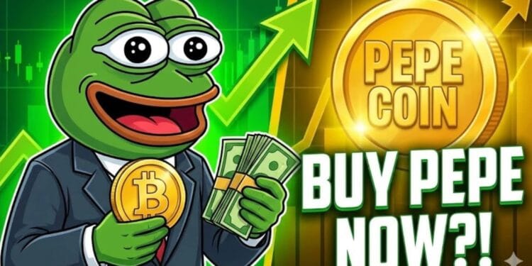 Is Now the Finest Time to Purchase the Dip or Promote?