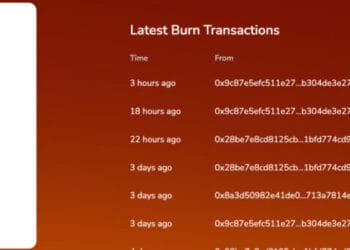 Shiba Inu Value Evaluation: Burn Charge Skyrockets 53,000% – What Does This Imply?