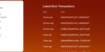 Shiba Inu Value Evaluation: Burn Charge Skyrockets 53,000% – What Does This Imply?