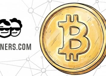 The best way to Mine Bitcoin Solo: 2Miners BTC Pool Information