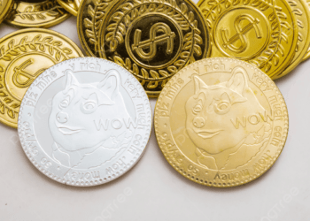 Dogecoin Cracks Once more: BTC Pair Collapse Alerts Imminent Drop To $0.07