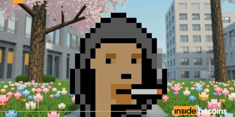 A Hoodie Punks NFT, Purchased For $82K In 2021, Sells For $382K