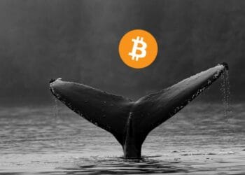 Whale Inflows Hit a 10-Month Low as Bitcoin Pushes to $73K