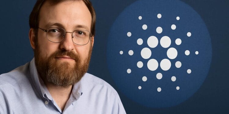 The Readability Act Is Structurally Damaged and a Dangerous Invoice Is Worse Than No Invoice