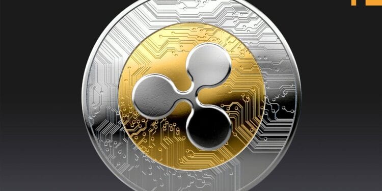 XRP ETFs Put up Report Outflows as Ripple Extends Worth Slide