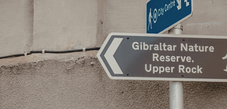 Transparency within the British Abroad Territories: eight years on, the place are the general public registers?