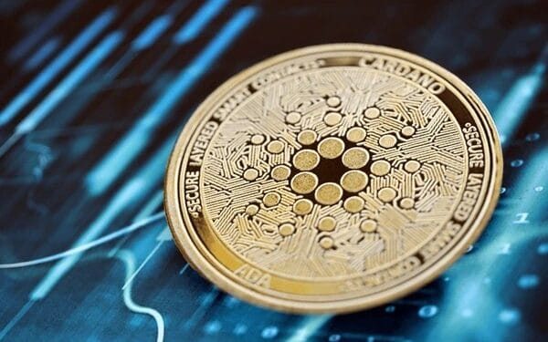 Did The Cardano Founder Assist To Derail XRP’s Development? Ripple Group Attracts Out Hoskinson