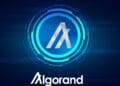 Algorand (ALGO)’s xChain Accounts Allow EVM Pockets Use With out New Keys