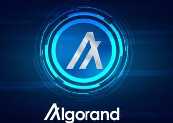 Algorand (ALGO)’s xChain Accounts Allow EVM Pockets Use With out New Keys