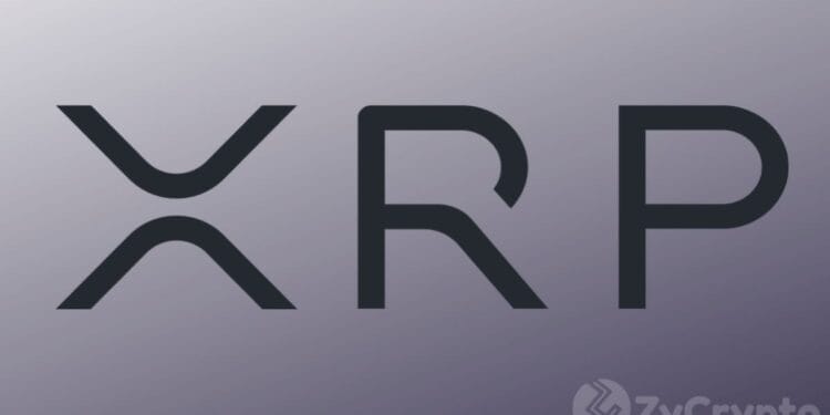 XRP Hits Excessive Concern Zone As Sentiment Alerts Stunning Reversal ⋆ ZyCrypto