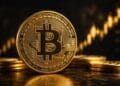 Anthony Scaramucci Alerts Bitcoin Backside, Citing Low RSI
