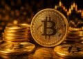 Analyst Reveals The Finest Time To Really Begin Shopping for Bitcoin