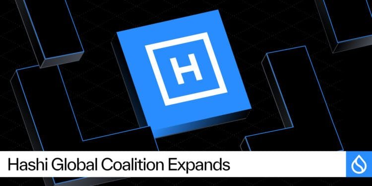 Sui Information: Cumberland, Fluid, and SwissBorg Be part of Institutional Coalition on Hashi Forward of July World Testnet
