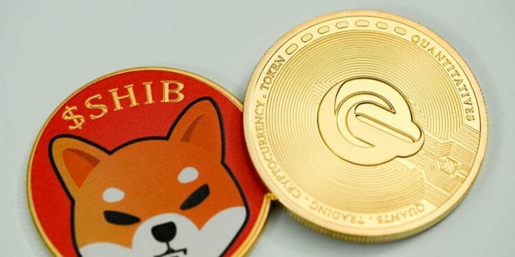 Shiba Inu Balances On Binance Plunge By 1.1 Trillion Tokens