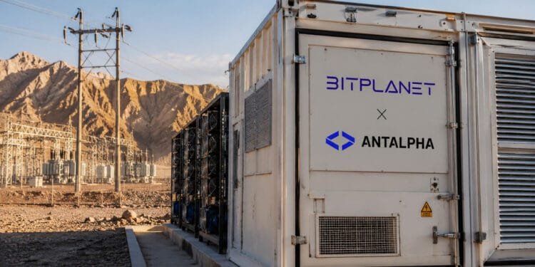 Bitplanet’s Antalpha mining deal exams whether or not Bitcoin treasuries can develop with out fixed shopping for