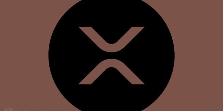 XRP Bulls Make Dangerous Guess as Spot Demand Rises ⋆ ZyCrypto