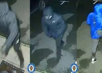 Horrific Crypto Theft as Thieves Threaten Pregnant Spouse’s Child